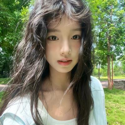大象之梦