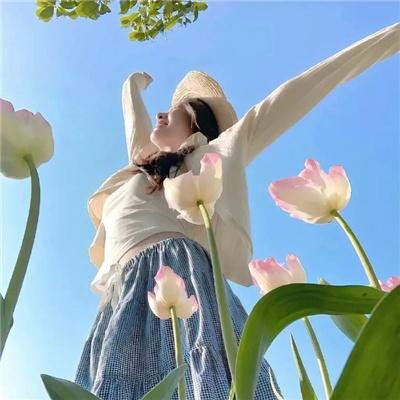 君临天下之血溅太和殿国语